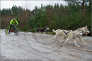 Mushers and dog teams at the 25th Anniversary Siberian Husky Club of Great Britain Aviemore Sled Dog Rally 2008