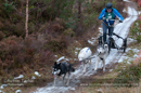 Racing Team in the Siberian Husky Club of GB Arden Grange Aviemore Sled Dog Rally 2012.