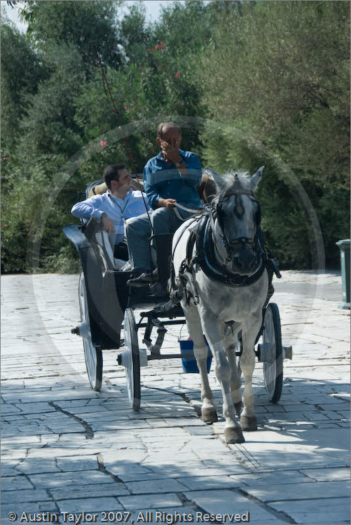 Pony and trap, Acropolis, Athens, Greece 21 September 2007