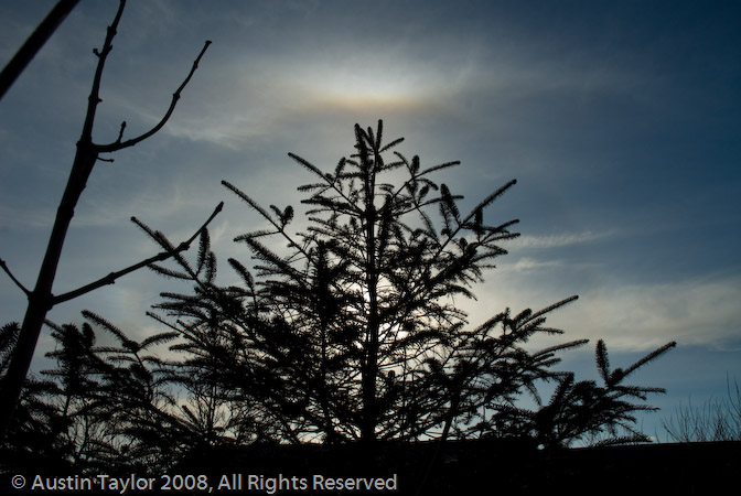 Sun halo with Tangent Arc and Sun Dogs at Lerwick, Shetland