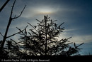 Sun halo with Tangent Arc and Sun Dogs at Lerwick, Shetland