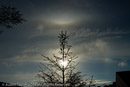 Sun halo with Tangent Arc and Sun Dogs at Lerwick, Shetland