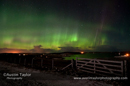 Aurora borealis (northern lights) at Wadbister, Shetland