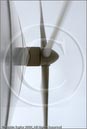 Aerogenerators - Wind Farm at Burradale, Tingwall, Shetland, by Austin Taylor