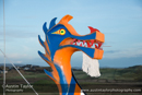 "Happy Go Lucky" Galley Head