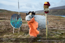Thomasina in full Viking regalia with Mirrie Guizers shield - Northmavine Up Helly-Aa 2014