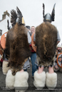 Boar skin cloaks - Jarl Squad at Hillswick - Northmavine Up Helly-Aa 2014