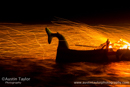 The Galley Haja alight on Ura Firth - Northmavine Up Helly-Aa 2014