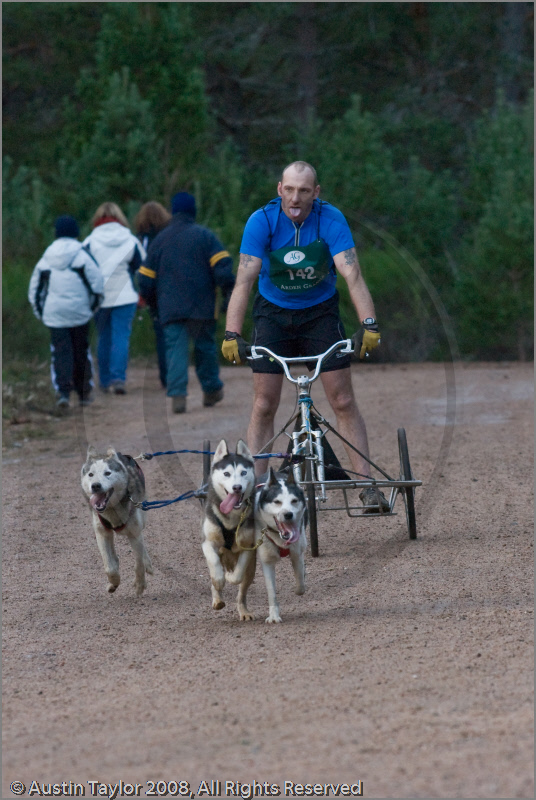 Dog Sled Team competing in the 25th Anniversary Siberian Husky Club of Great Britain Aviemore Sled Dog Rally 2008