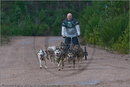Dog Sled Team competing in the 25th Anniversary Siberian Husky Club of Great Britain Aviemore Sled Dog Rally 2008