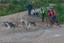 Dog Sled Team competing in the 25th Anniversary Siberian Husky Club of Great Britain Aviemore Sled Dog Rally 2008