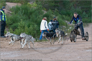 Dog Sled Team competing in the 25th Anniversary Siberian Husky Club of Great Britain Aviemore Sled Dog Rally 2008