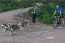 Dog Sled Team competing in the 25th Anniversary Siberian Husky Club of Great Britain Aviemore Sled Dog Rally 2008