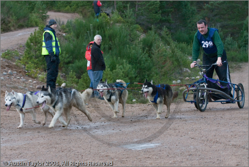 Dog Sled Team competing in the 25th Anniversary Siberian Husky Club of Great Britain Aviemore Sled Dog Rally 2008