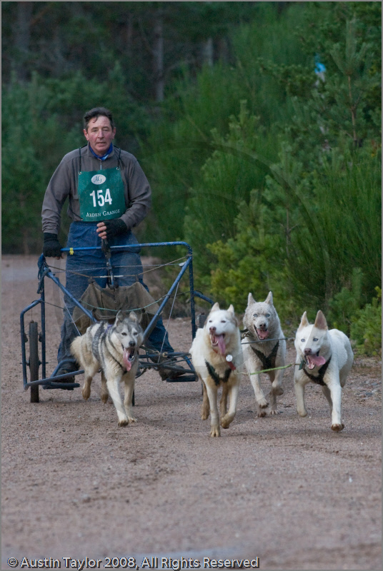 Dog Sled Team competing in the 25th Anniversary Siberian Husky Club of Great Britain Aviemore Sled Dog Rally 2008