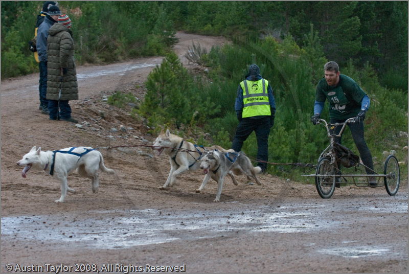 Dog Sled Team competing in the 25th Anniversary Siberian Husky Club of Great Britain Aviemore Sled Dog Rally 2008