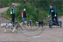 Dog Sled Team competing in the 25th Anniversary Siberian Husky Club of Great Britain Aviemore Sled Dog Rally 2008