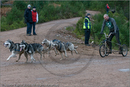 Dog Sled Team competing in the 25th Anniversary Siberian Husky Club of Great Britain Aviemore Sled Dog Rally 2008