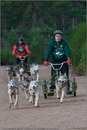 Dog Sled Team competing in the 25th Anniversary Siberian Husky Club of Great Britain Aviemore Sled Dog Rally 2008