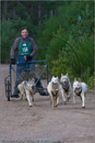 Dog Sled Team competing in the 25th Anniversary Siberian Husky Club of Great Britain Aviemore Sled Dog Rally 2008