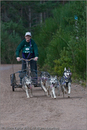 Dog Sled Team competing in the 25th Anniversary Siberian Husky Club of Great Britain Aviemore Sled Dog Rally 2008