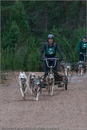 Dog Sled Team competing in the 25th Anniversary Siberian Husky Club of Great Britain Aviemore Sled Dog Rally 2008