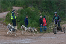 Dog Sled Team competing in the 25th Anniversary Siberian Husky Club of Great Britain Aviemore Sled Dog Rally 2008