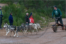 Dog Sled Team competing in the 25th Anniversary Siberian Husky Club of Great Britain Aviemore Sled Dog Rally 2008