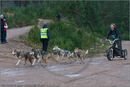 Dog Sled Team competing in the 25th Anniversary Siberian Husky Club of Great Britain Aviemore Sled Dog Rally 2008