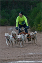 Dog Sled Team competing in the 25th Anniversary Siberian Husky Club of Great Britain Aviemore Sled Dog Rally 2008