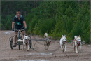 Dog Sled Team competing in the 25th Anniversary Siberian Husky Club of Great Britain Aviemore Sled Dog Rally 2008