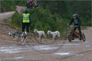 Dog Sled Team competing in the 25th Anniversary Siberian Husky Club of Great Britain Aviemore Sled Dog Rally 2008