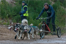 Dog Sled Team competing in the 25th Anniversary Siberian Husky Club of Great Britain Aviemore Sled Dog Rally 2008