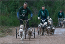 Dog Sled Team competing in the 25th Anniversary Siberian Husky Club of Great Britain Aviemore Sled Dog Rally 2008