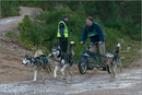 Dog Sled Team competing in the 25th Anniversary Siberian Husky Club of Great Britain Aviemore Sled Dog Rally 2008