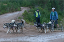 Dog Sled Team competing in the 25th Anniversary Siberian Husky Club of Great Britain Aviemore Sled Dog Rally 2008