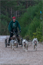 Dog Sled Team competing in the 25th Anniversary Siberian Husky Club of Great Britain Aviemore Sled Dog Rally 2008