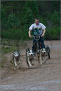 Dog Sled Team competing in the 25th Anniversary Siberian Husky Club of Great Britain Aviemore Sled Dog Rally 2008
