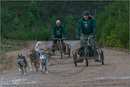 Dog Sled Team competing in the 25th Anniversary Siberian Husky Club of Great Britain Aviemore Sled Dog Rally 2008