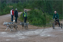 Dog Sled Team competing in the 25th Anniversary Siberian Husky Club of Great Britain Aviemore Sled Dog Rally 2008