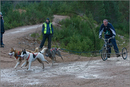 Dog Sled Team competing in the 25th Anniversary Siberian Husky Club of Great Britain Aviemore Sled Dog Rally 2008