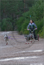 Dog Sled Team competing in the 25th Anniversary Siberian Husky Club of Great Britain Aviemore Sled Dog Rally 2008