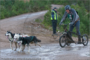 Dog Sled Team competing in the 25th Anniversary Siberian Husky Club of Great Britain Aviemore Sled Dog Rally 2008