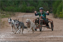 Dog Sled Team competing in the 25th Anniversary Siberian Husky Club of Great Britain Aviemore Sled Dog Rally 2008