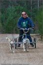 Dog Sled Team competing in the 25th Anniversary Siberian Husky Club of Great Britain Aviemore Sled Dog Rally 2008