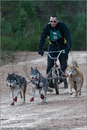 Dog Sled Team competing in the 25th Anniversary Siberian Husky Club of Great Britain Aviemore Sled Dog Rally 2008