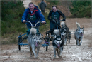 Dog Sled Team competing in the 25th Anniversary Siberian Husky Club of Great Britain Aviemore Sled Dog Rally 2008