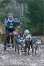 Dog Sled Team competing in the 25th Anniversary Siberian Husky Club of Great Britain Aviemore Sled Dog Rally 2008