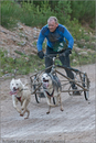 Dog Sled Team competing in the 25th Anniversary Siberian Husky Club of Great Britain Aviemore Sled Dog Rally 2008