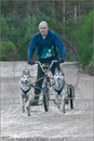 Dog Sled Team competing in the 25th Anniversary Siberian Husky Club of Great Britain Aviemore Sled Dog Rally 2008